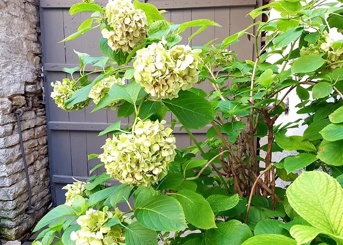 게스트하우스 Lori's Traditional House