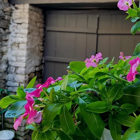 Lori's Traditional House Affittacamere *