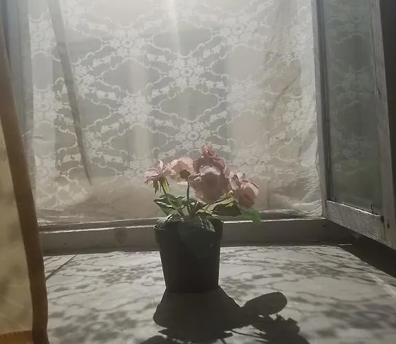ゲストハウス Lori's Traditional House